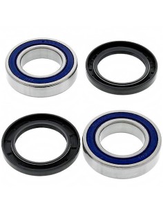 Kit de rodamientos rueda All Balls 251313