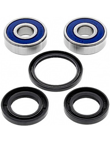 Kit de rodamientos rueda All Balls 251319