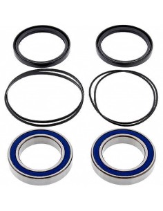 Kit de rodamientos rueda All Balls 251320