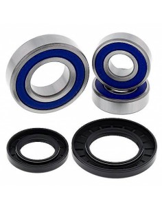 Kit de rodamientos rueda All Balls 251393