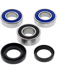 Kit de rodamientos rueda All Balls 251418