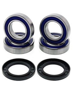 Kit de rodamientos rueda All Balls 251436