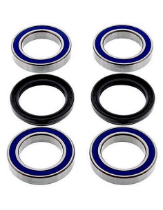 Kit de rodamientos rueda All Balls 251456