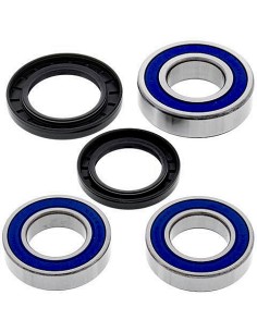 Kit de rodamientos rueda All Balls 251493