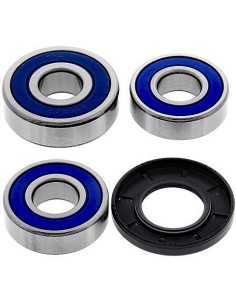 Kit de rodamientos rueda All Balls 251494