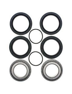 Kit de rodamientos rueda All Balls 251498