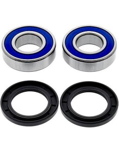 Kit de rodamientos rueda All Balls 251511