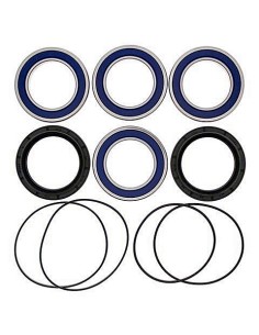 Kit de rodamientos rueda All Balls 251526