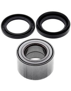 Kit de rodamientos rueda All Balls 251538