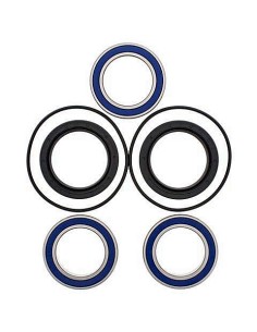 Kit de rodamientos rueda All Balls 251560