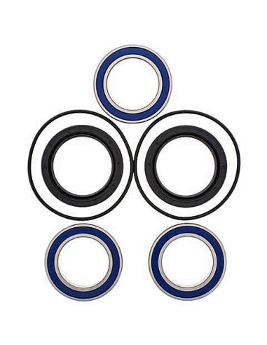Kit de rodamientos rueda All Balls 251560