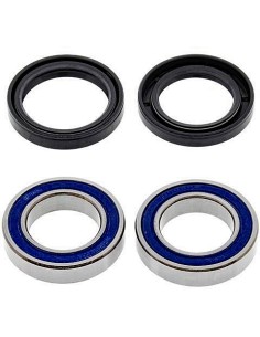 Kit de rodamientos rueda All Balls 251570