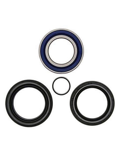 Kit de rodamientos rueda All Balls 251572