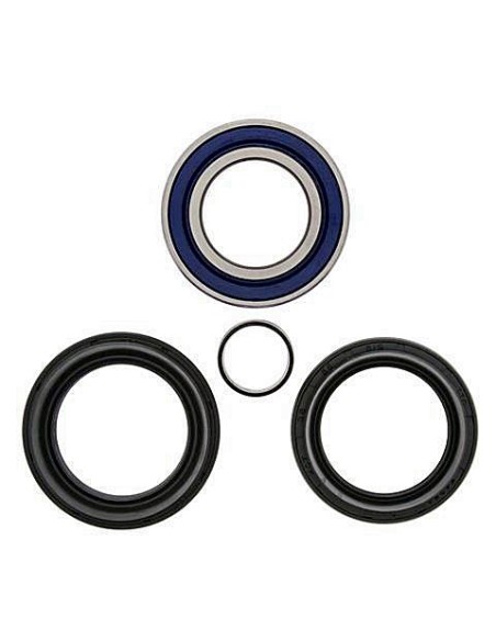 Kit de rodamientos rueda All Balls 251572