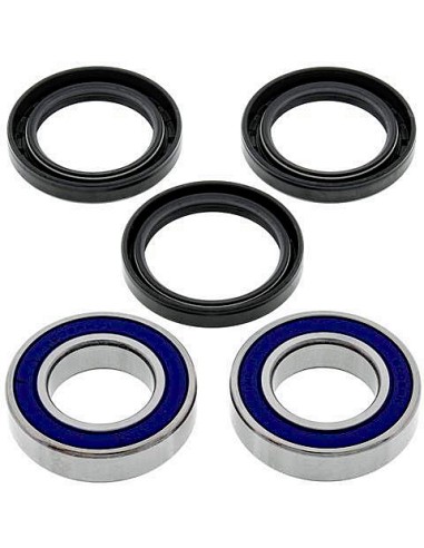 Kit de rodamientos rueda All Balls 251578