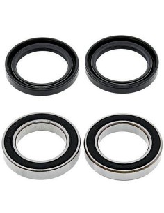 Kit de rodamientos rueda All Balls 251595
