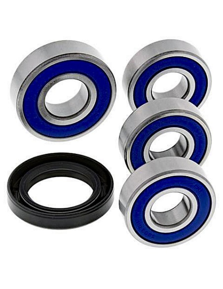 Kit de rodamientos rueda All Balls 251598