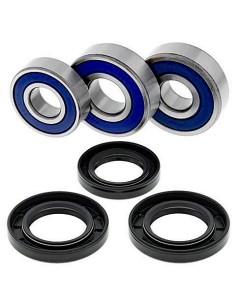 Kit de rodamientos rueda All Balls 251605