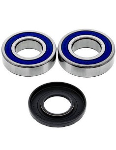 Kit de rodamientos rueda All Balls 251667