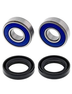 Kit de rodamientos rueda All Balls 251670