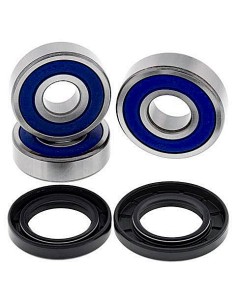 Kit de rodamientos rueda All Balls 251710