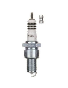 6597 Buja NGK  Iridio IX