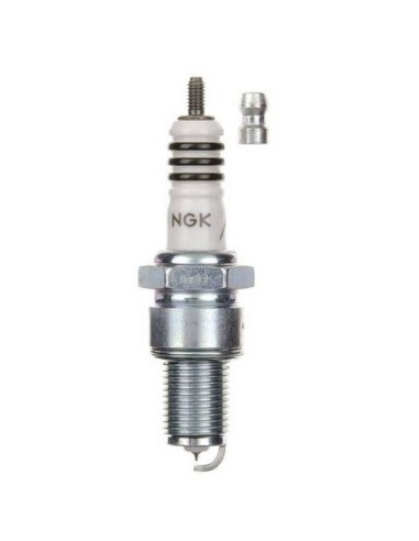 6597 Buja NGK  Iridio IX