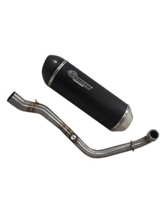 Exhaust Sport Carbon catalyzed  homologated for Ky