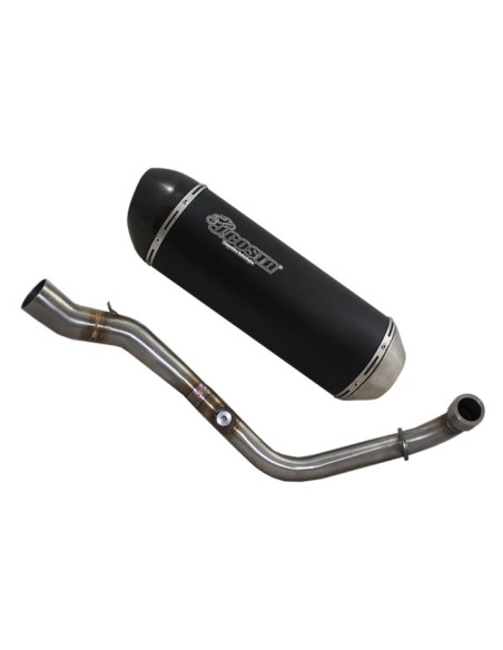 Exhaust Sport Carbon catalyzed  homologated for Ky