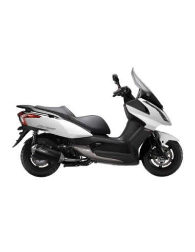 Exhaust Sport for Kymco Superdink 125  Kawasaki J1