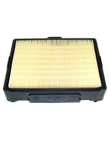 FILTRO MAHLE Aire