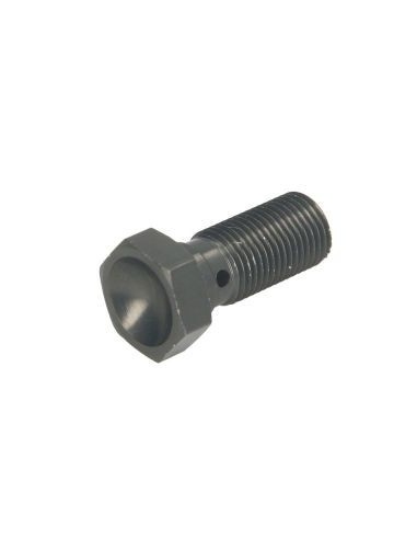 Tornillo latiguillo corto 10x125 TRW MCH921T