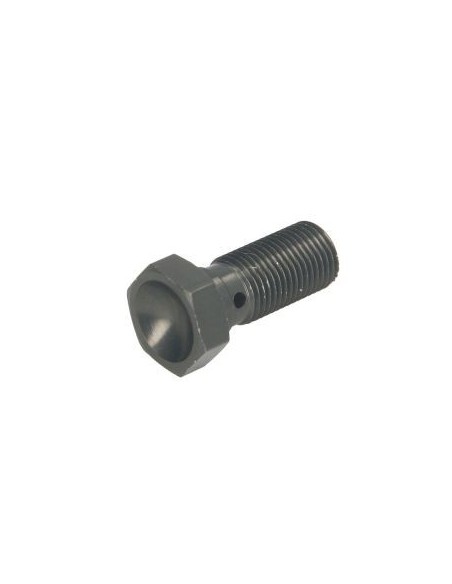 Tornillo latiguillo corto 10x125 TRW MCH921T