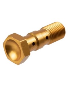 Tornillo banjo doble M10x1.0 Brembo TRW MCH961G