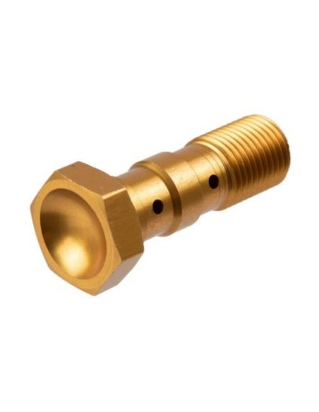 Tornillo banjo doble M10x1.0 Brembo TRW MCH961G