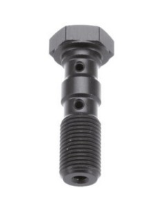 Tornillo banjo doble M10x1.0 Brembo TRW MCH961T