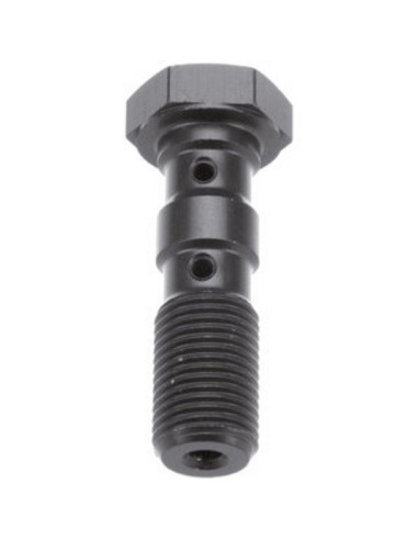 Tornillo banjo doble M10x1.0 Brembo TRW MCH961T