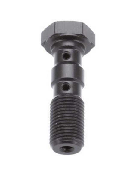 Tornillo banjo doble M10x1.0 Brembo TRW MCH961T