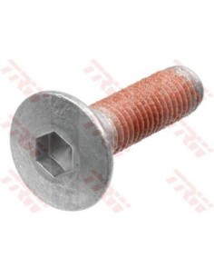 Juego de tornillos, disco de freno
