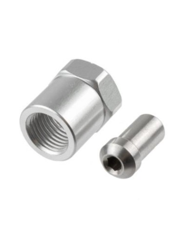 Conexión Varioflex para moto TRW MVJ100A