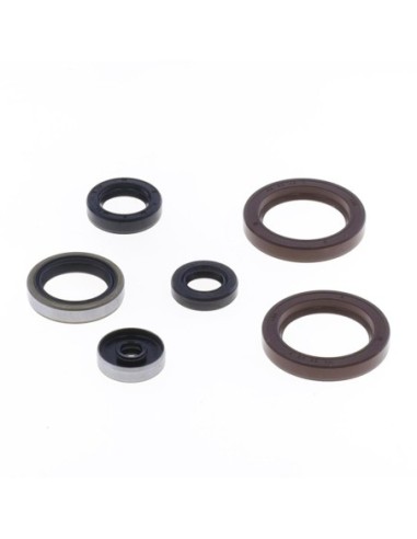 Kit de retenes de motor P400270400015 | Motoauto