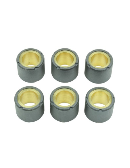 Kit de 6 rodillos de variador S41000030P052 | Motoauto