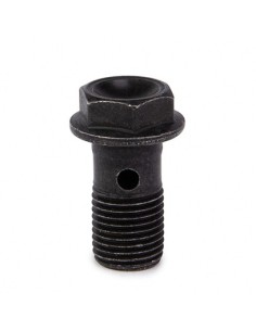Tornillo latiguillo Brembo rosca 10x1 06222897 | Motoauto