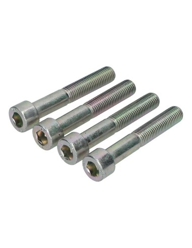 Kit de Tornillos para Pinzas Brembo P4 105998709 | Motoauto