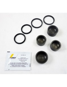 Kit de reparacion Pinzas Brembo 120279950 | Motoauto