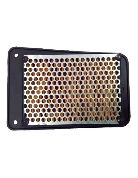 El filtro de aire Champion CAF4101WS CAF4101 | Motoauto