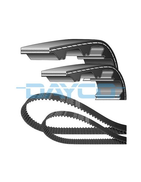 SET CORREAS TBSET1194 | Motoauto