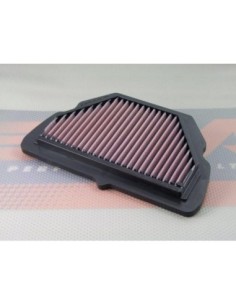 DNA AIR FILTER FOR HONDA CBR 600 F4 P-H6S99-01 | Motoauto