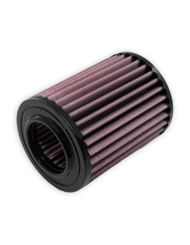 DNA Air Filter HIMALAYAN 452 24 R-RE4E24-01 | Motoauto