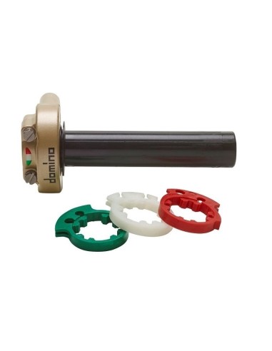 Acelerador Domino XM2 384703-01 | Motoauto